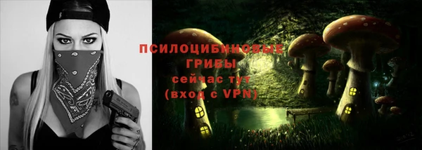 хмурый Балабаново