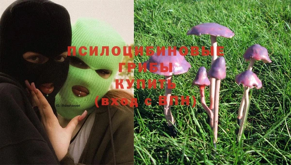 хмурый Балабаново