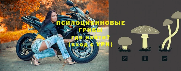 хмурый Балабаново
