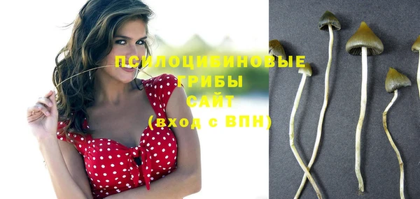 дмт Зерноград