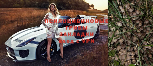 хмурый Балабаново